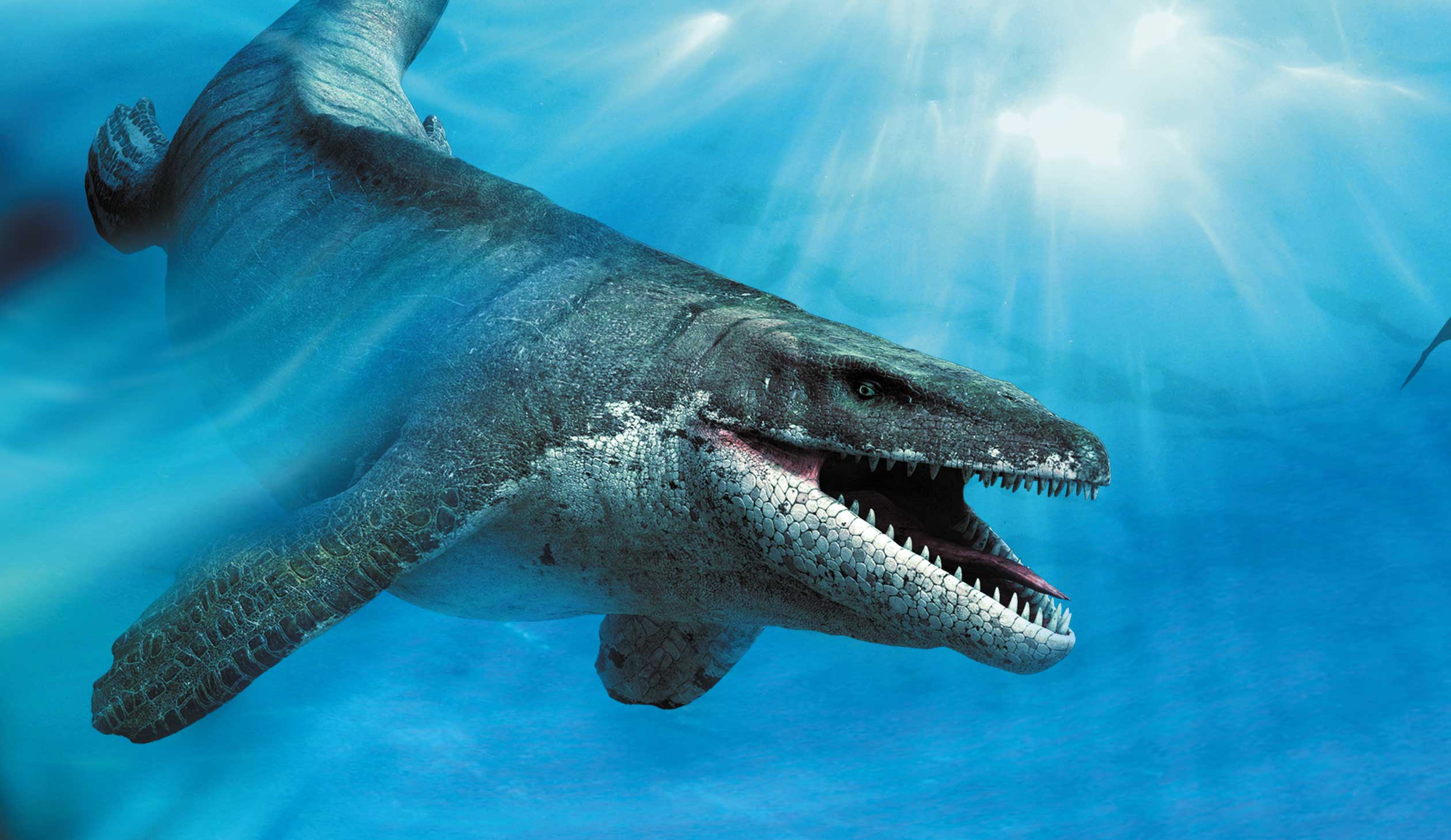 Динозавр жил в воде. Мозазавр Эласмозавр. Юрский период Лиоплевродон. Гигантский Мозазавр. Шастазавр Мозазавр.