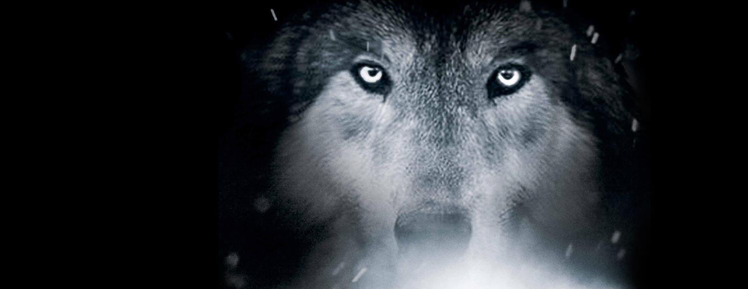Wolf Totem image